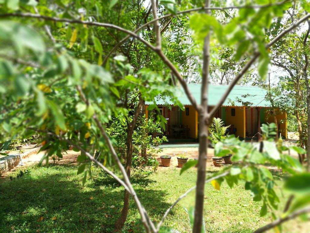 Sigiri La Veranda Lodge Σιγκιρίγια Εξωτερικό φωτογραφία